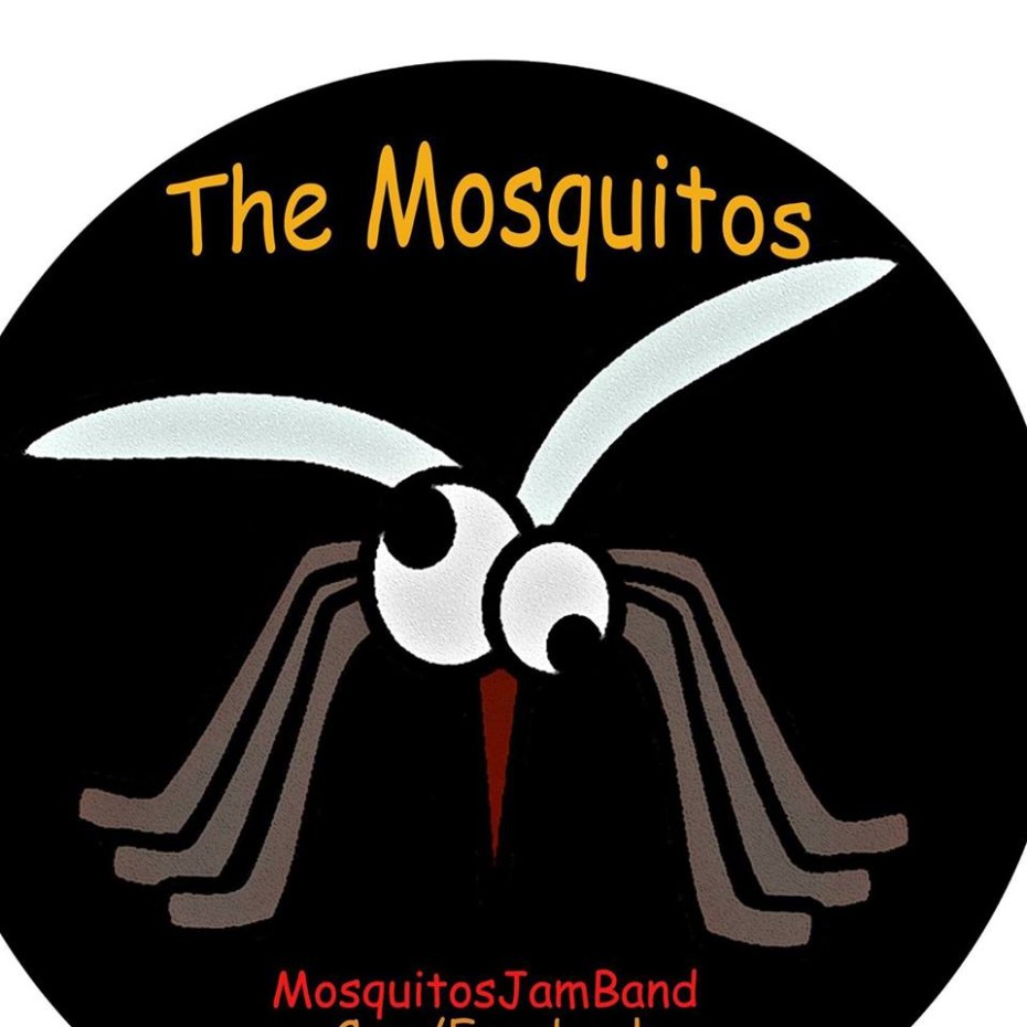 Feb 11 | Mike & The Mosquitos | 9pm